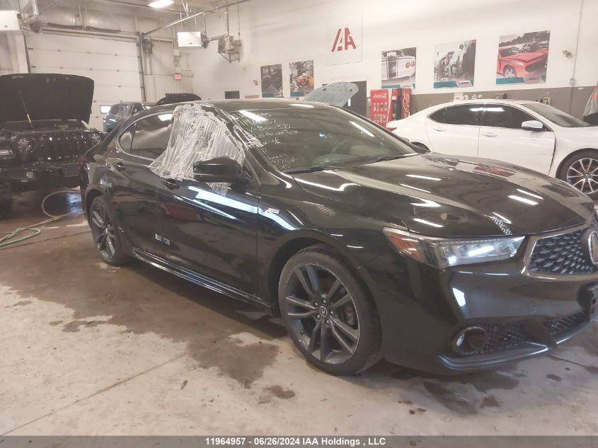 2020 Acura Tlx Advance/Pmc Edition VIN: 19UUB3F80LA800372 Lot: 11964957