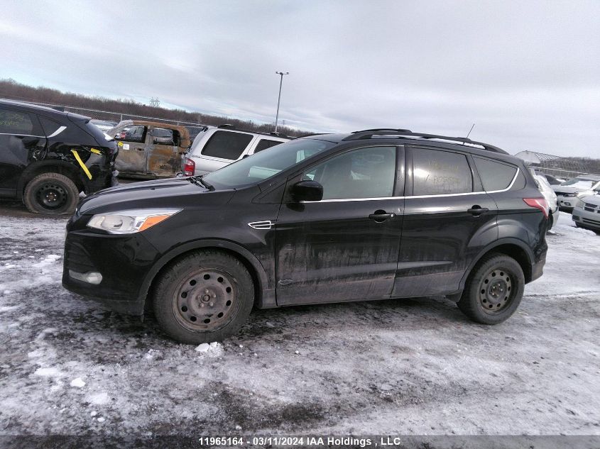 2014 Ford Escape VIN: 1FMCU0GX8EUE02526 Lot: 11965164