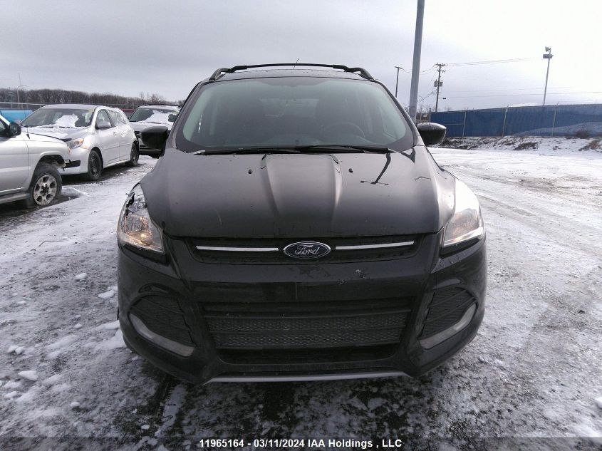 2014 Ford Escape VIN: 1FMCU0GX8EUE02526 Lot: 11965164