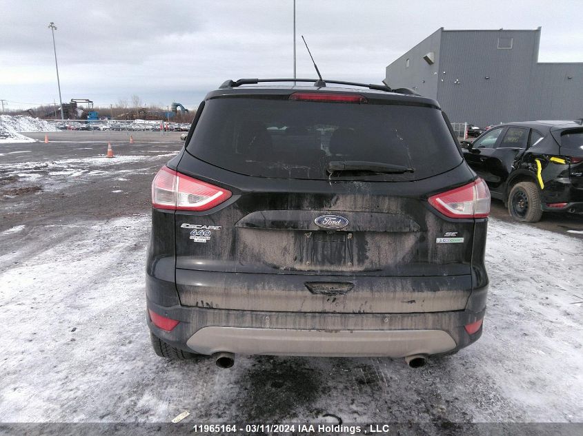 2014 Ford Escape VIN: 1FMCU0GX8EUE02526 Lot: 11965164