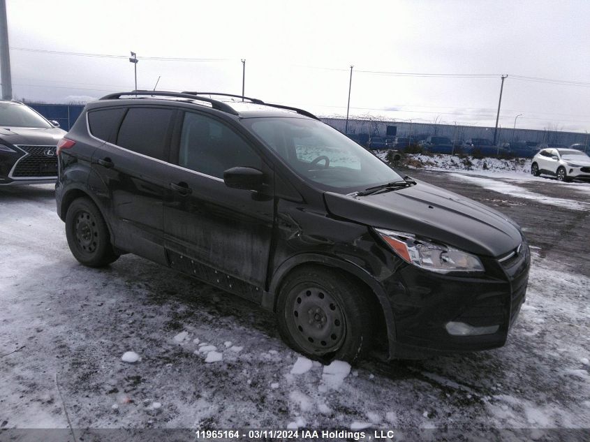 2014 Ford Escape VIN: 1FMCU0GX8EUE02526 Lot: 11965164