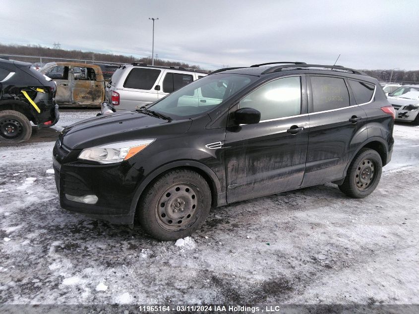 2014 Ford Escape VIN: 1FMCU0GX8EUE02526 Lot: 11965164