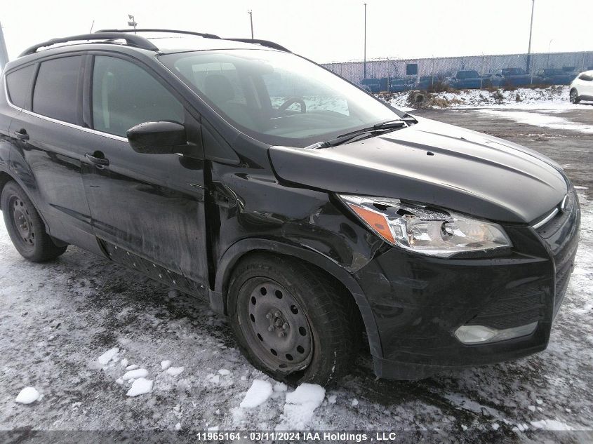 2014 Ford Escape VIN: 1FMCU0GX8EUE02526 Lot: 11965164