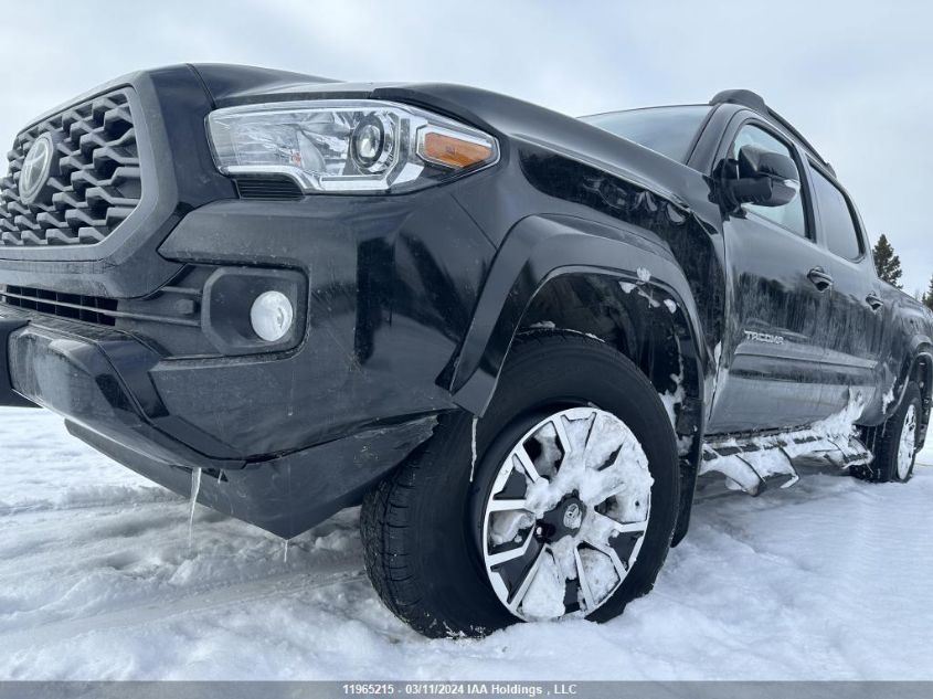 2023 Toyota Tacoma VIN: 3TYDZ5BN9PT024452 Lot: 11965215