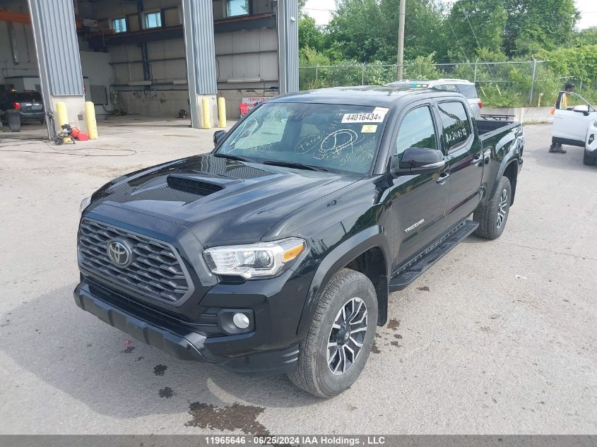 2022 Toyota Tacoma Double Cab/Sr5/Trd Sport/Trd Off Road VIN: 3TYDZ5BN0NT013143 Lot: 11965646