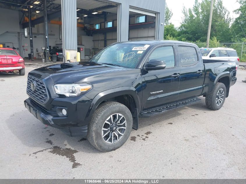 2022 Toyota Tacoma Double Cab/Sr5/Trd Sport/Trd Off Road VIN: 3TYDZ5BN0NT013143 Lot: 11965646