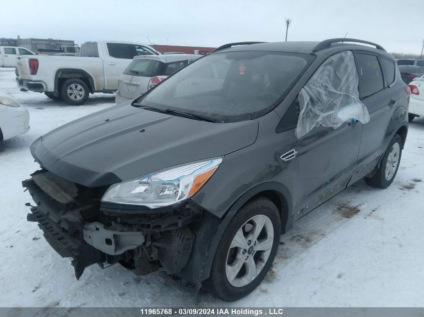 2014 Ford Escape Se VIN: 1FMCU0GX5EUB50136 Lot: 11965768