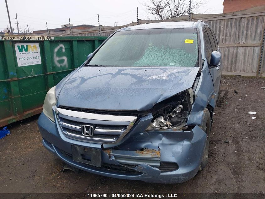 2007 Honda Odyssey Ex-L VIN: 5FNRL38637B510993 Lot: 11965790