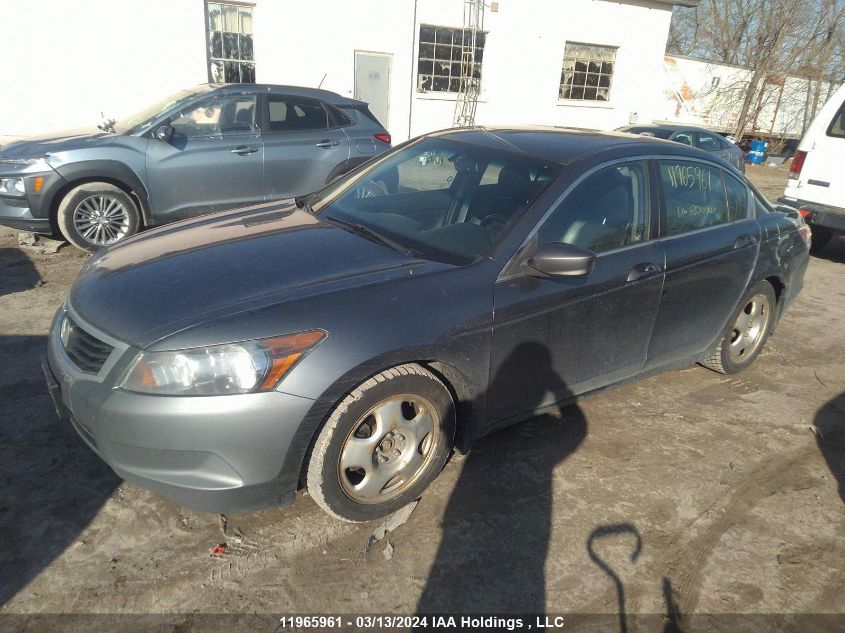 2010 Honda Accord VIN: 1HGCP2F87AA800907 Lot: 11965961