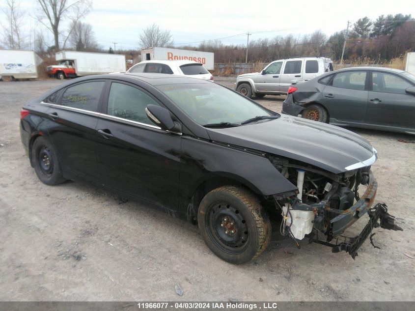 2013 Hyundai Sonata VIN: 5NPEC4AC1DH655368 Lot: 11966077