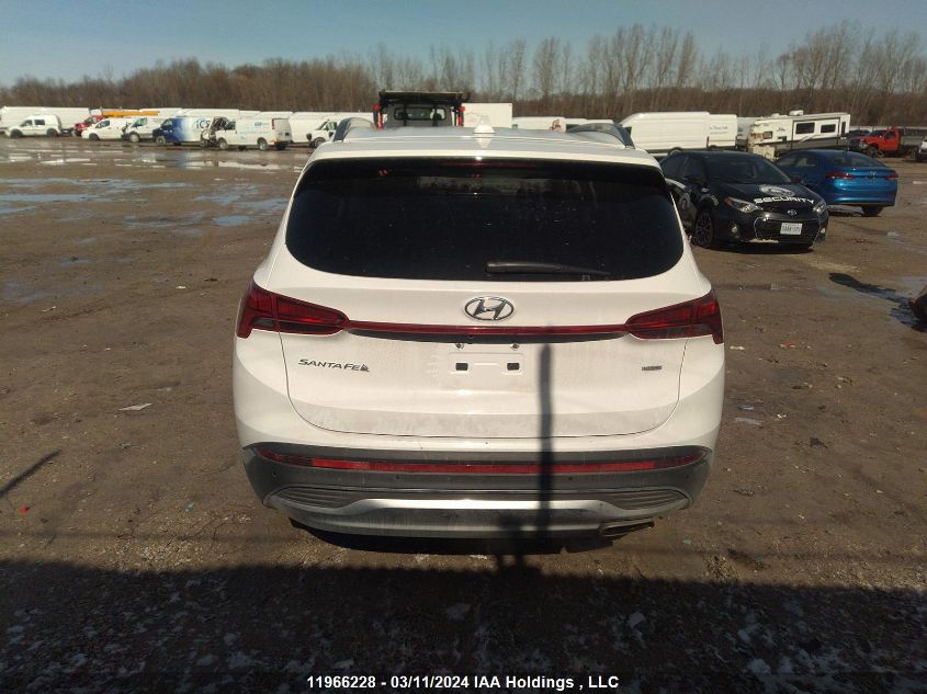 2023 Hyundai Santa Fe Sel Premium VIN: 5NMS3DAJ8PH611550 Lot: 39221626