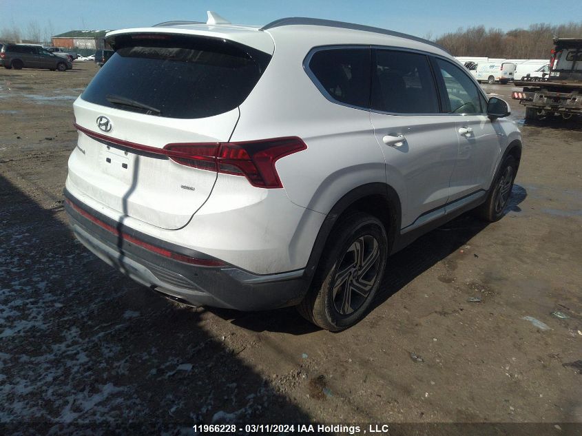 2023 Hyundai Santa Fe Sel Premium VIN: 5NMS3DAJ8PH611550 Lot: 39221626