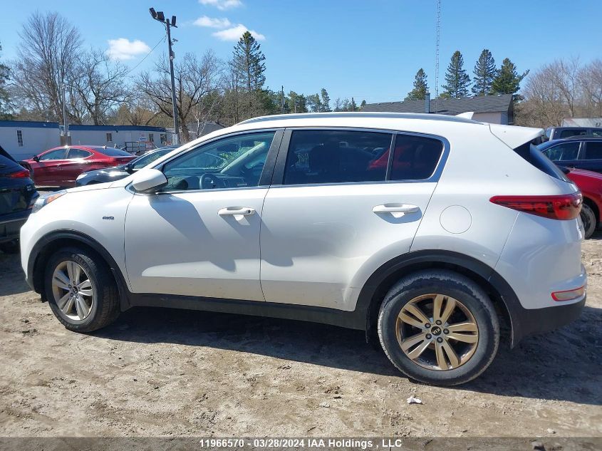 2019 Kia Sportage Lx VIN: KNDPMCAC6K7493724 Lot: 11966570