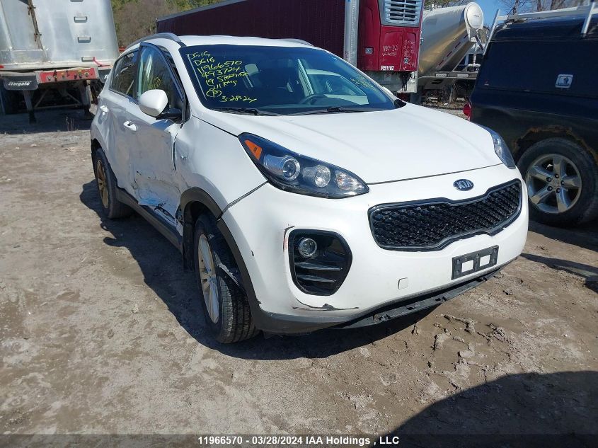 2019 Kia Sportage Lx VIN: KNDPMCAC6K7493724 Lot: 11966570