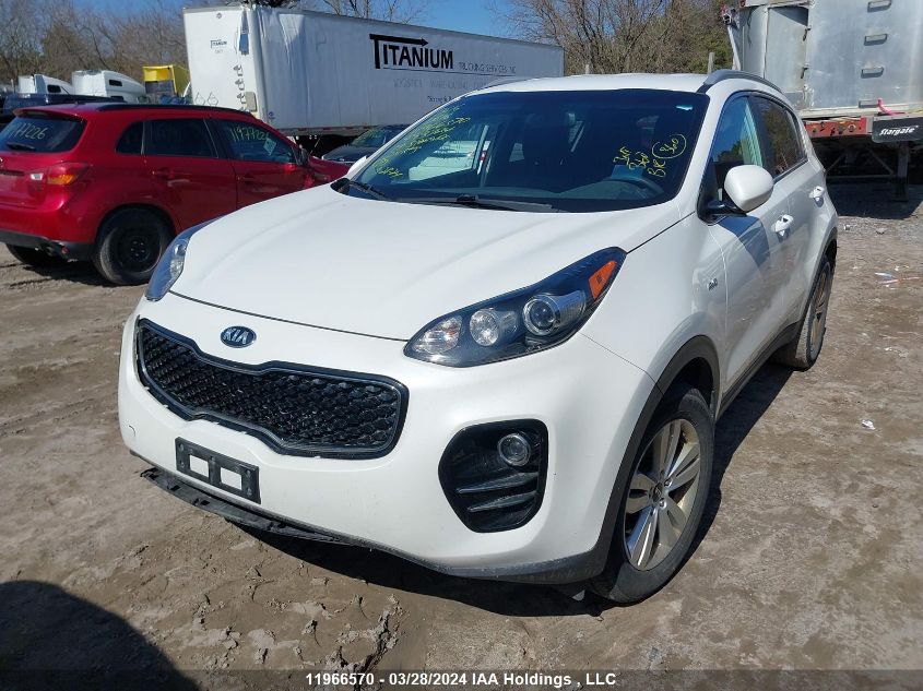 2019 Kia Sportage Lx VIN: KNDPMCAC6K7493724 Lot: 11966570