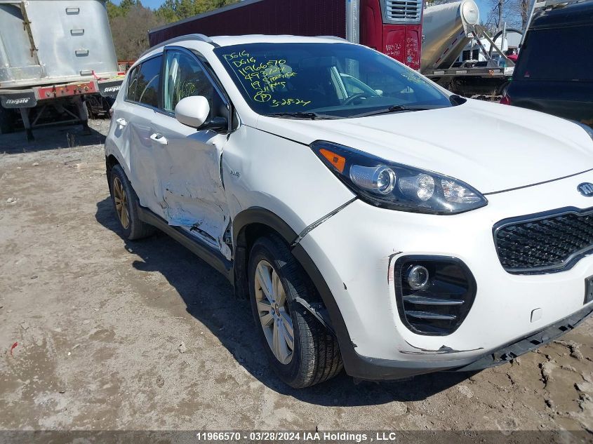 2019 Kia Sportage Lx VIN: KNDPMCAC6K7493724 Lot: 11966570