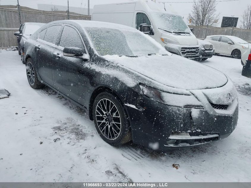 2011 Acura Tl VIN: 19UUA8F51BA800126 Lot: 39198248