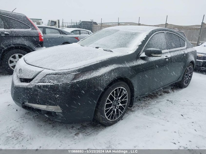 2011 Acura Tl VIN: 19UUA8F51BA800126 Lot: 39198248