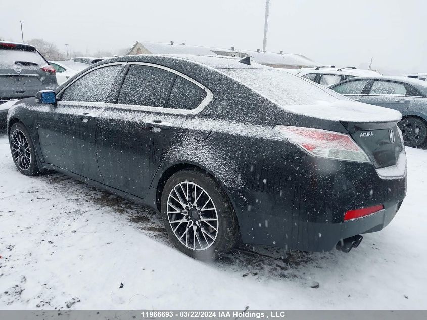 2011 Acura Tl VIN: 19UUA8F51BA800126 Lot: 39198248