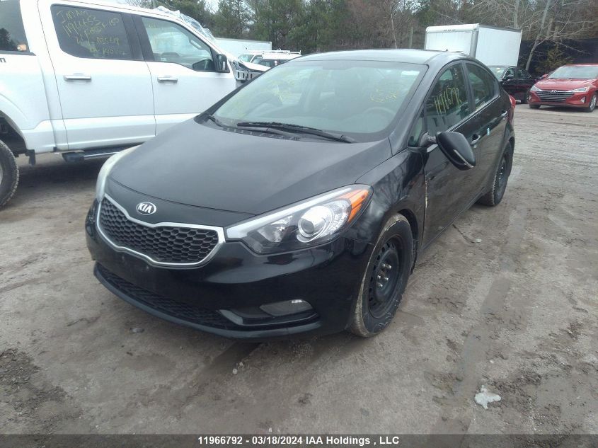 2015 Kia Forte VIN: KNAFX4A60F5288062 Lot: 11966792