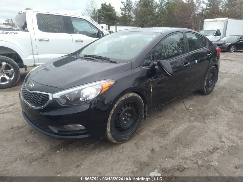 2015 Kia Forte VIN: KNAFX4A60F5288062 Lot: 11966792