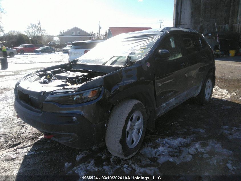 2023 Jeep Cherokee Trailhawk VIN: 1C4PJMBN6PD112106 Lot: 11966924