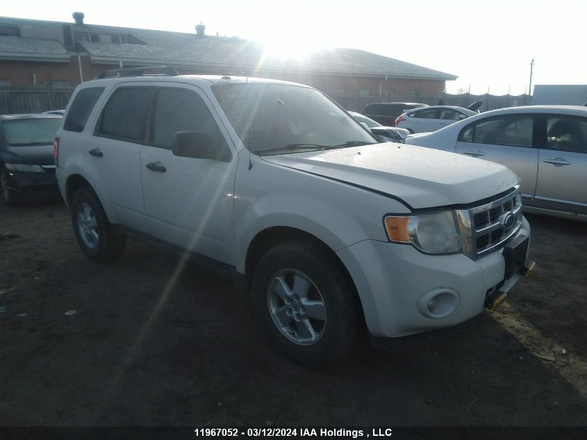 2010 Ford Escape Xlt VIN: 1FMCU0DG9AKB86650 Lot: 11967052