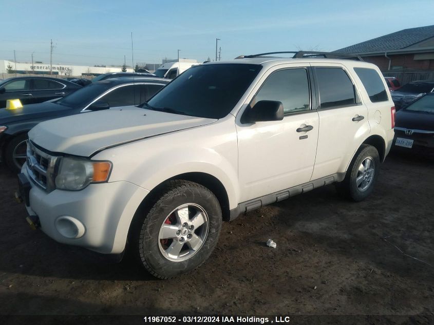 2010 Ford Escape Xlt VIN: 1FMCU0DG9AKB86650 Lot: 11967052