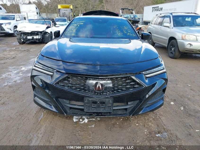 2023 Acura Tlx VIN: 19UUB6F52PA800113 Lot: 11967566