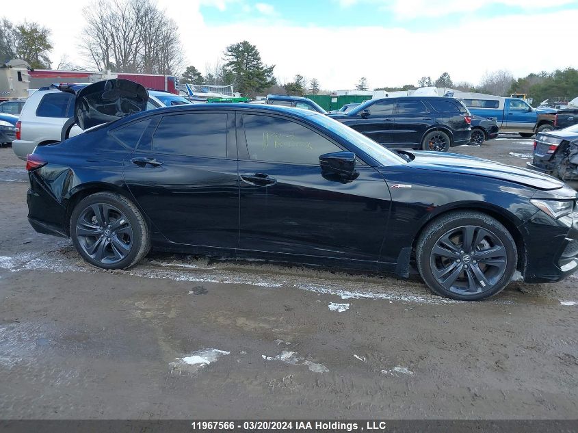 2023 Acura Tlx VIN: 19UUB6F52PA800113 Lot: 11967566