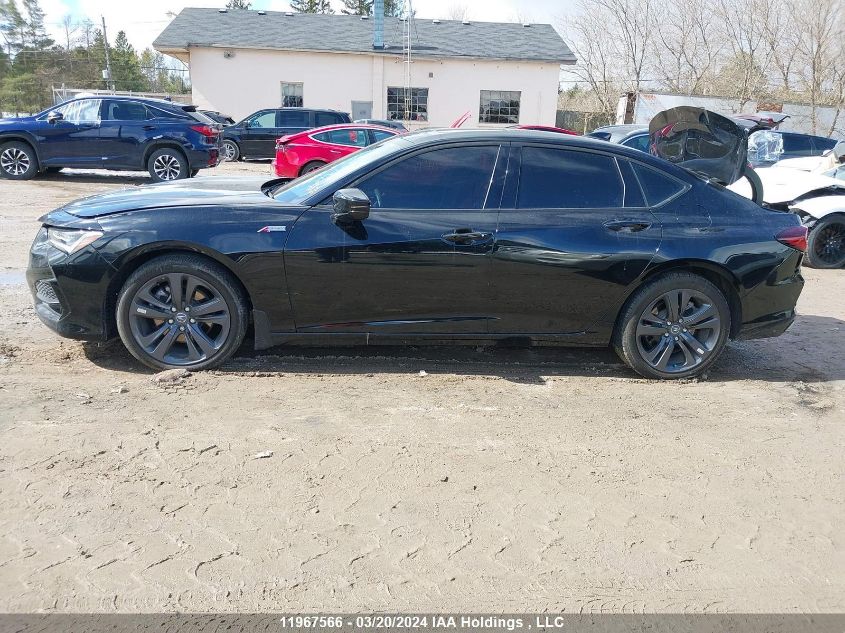 2023 Acura Tlx VIN: 19UUB6F52PA800113 Lot: 11967566