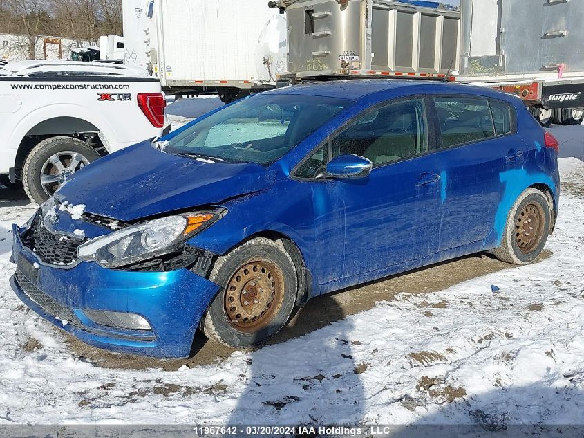 2015 Kia Forte Lx VIN: KNAFK5A83F5364590 Lot: 11967642