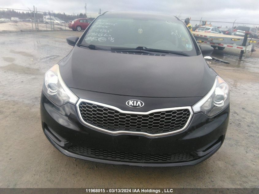 2016 Kia Forte VIN: KNAFK4A64G5509565 Lot: 11968015