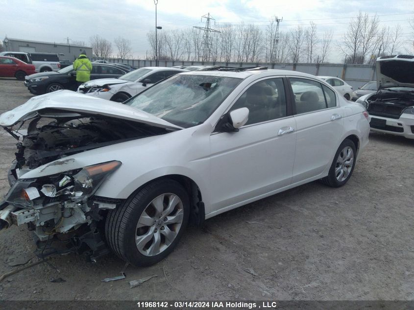 2010 Honda Accord Exl VIN: 5KBCP3F86AB501423 Lot: 11968142