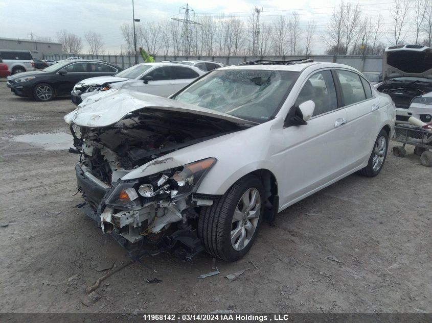 2010 Honda Accord Exl VIN: 5KBCP3F86AB501423 Lot: 11968142