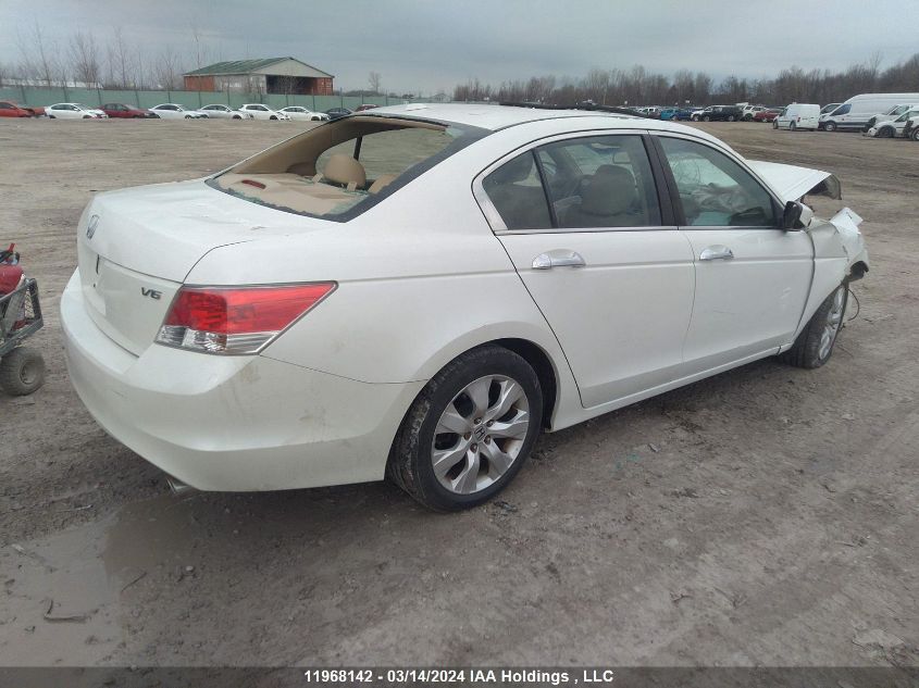 2010 Honda Accord Exl VIN: 5KBCP3F86AB501423 Lot: 11968142