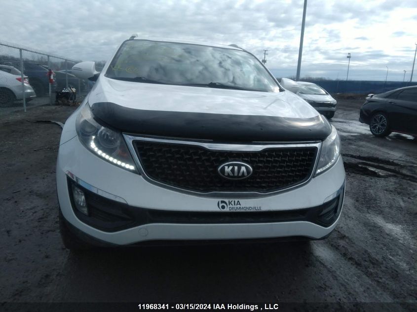 2016 Kia Sportage VIN: KNDPC3AC9G7806632 Lot: 11968341