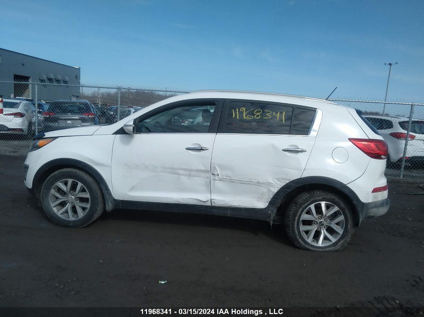 2016 Kia Sportage VIN: KNDPC3AC9G7806632 Lot: 11968341