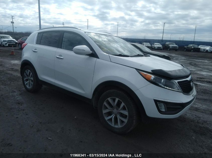 2016 Kia Sportage VIN: KNDPC3AC9G7806632 Lot: 11968341