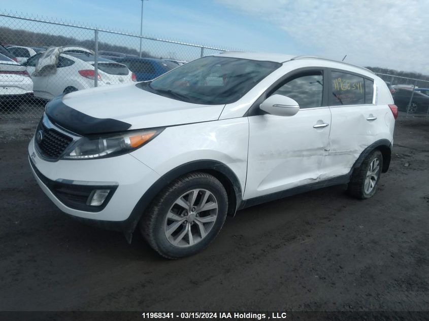 2016 Kia Sportage VIN: KNDPC3AC9G7806632 Lot: 11968341