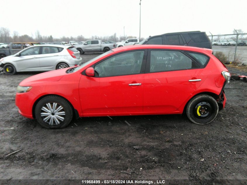 2012 Kia Forte VIN: KNAFU5A29C5617915 Lot: 48718744