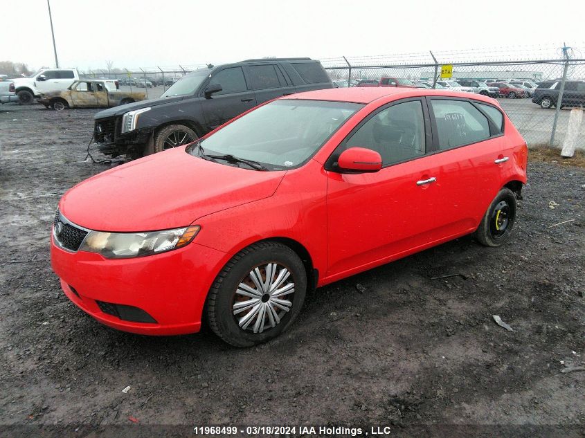 2012 Kia Forte VIN: KNAFU5A29C5617915 Lot: 48718744