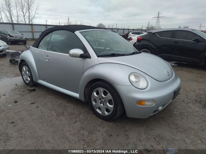 2003 Volkswagen New Beetle Gls VIN: 3VWCK21Y43M306382 Lot: 11968823