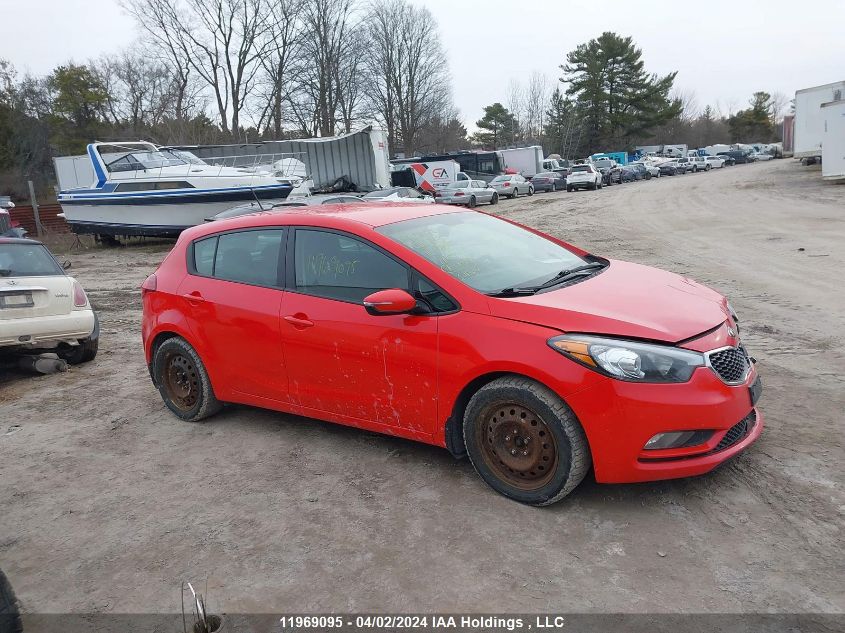 2016 Kia Forte 5-Door VIN: KNAFK5A86G5466743 Lot: 39236912