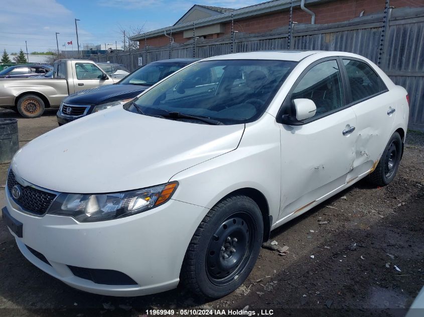 2012 Kia Forte VIN: KNAFU4A21C5637425 Lot: 11969949