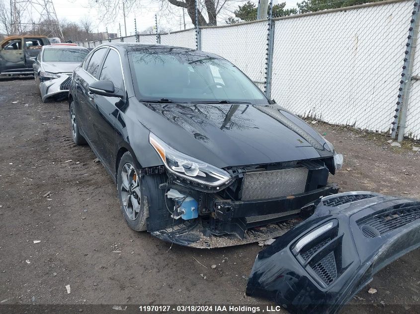 2019 Kia Forte VIN: 3KPF54AD9KE035604 Lot: 39240605