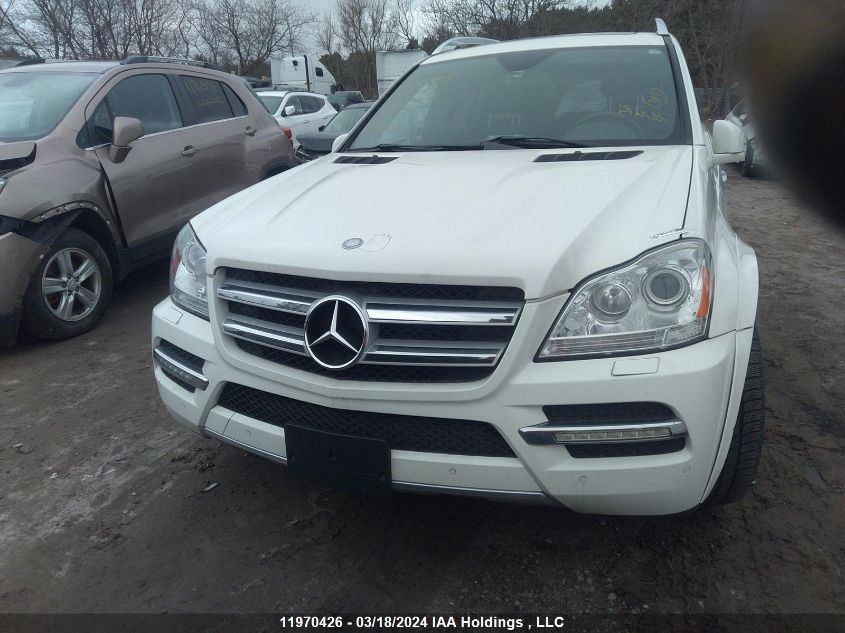 2012 Mercedes-Benz Gl-Class VIN: 4JGBF2FE6CA768789 Lot: 11970426