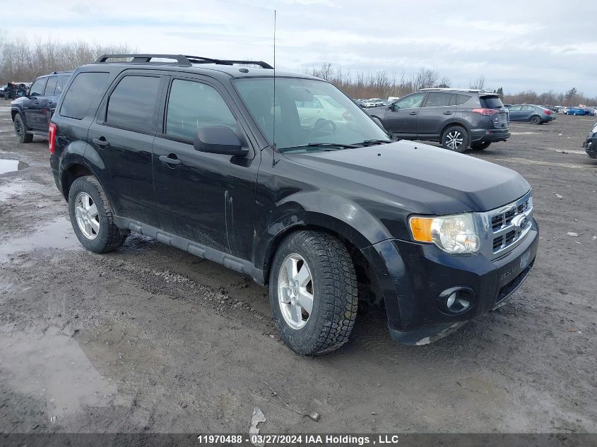 2011 Ford Escape Xlt VIN: 1FMCU9DG2BKA01182 Lot: 49259224