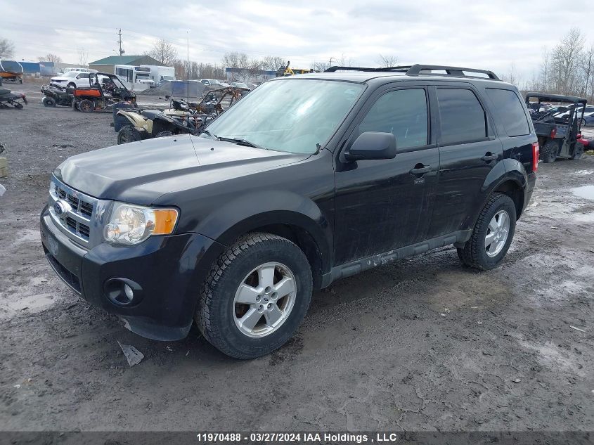 2011 Ford Escape Xlt VIN: 1FMCU9DG2BKA01182 Lot: 49259224