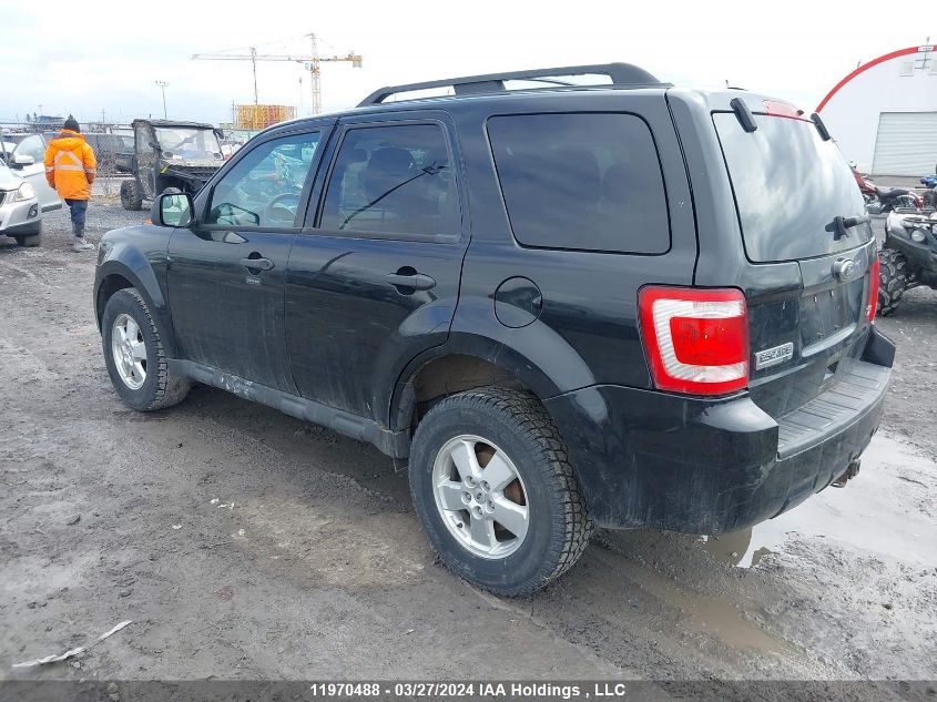 2011 Ford Escape Xlt VIN: 1FMCU9DG2BKA01182 Lot: 49259224